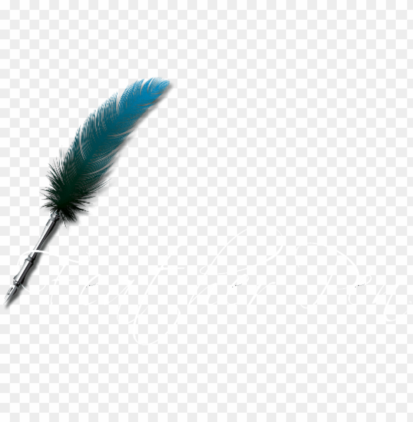 Feather Pen Banner - Pen Feather PNG Transparent With Clear Background ID 228229