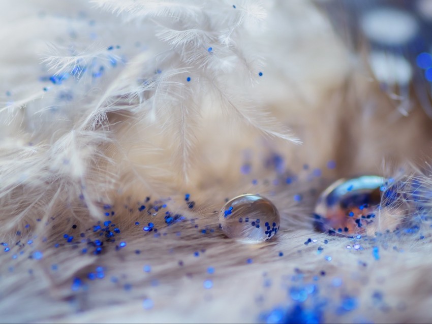 feathers, drops, glitter, macro, decoration