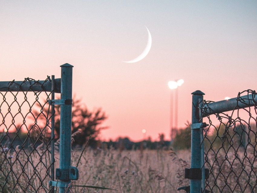 fence, sunset, moon, grass, mesh