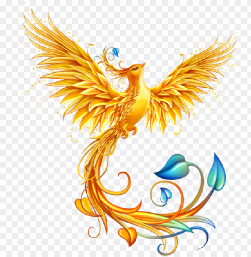 phoenix bird, phoenix, phoenix suns logo, phoenix wright, phoenix logo, phoenix icon