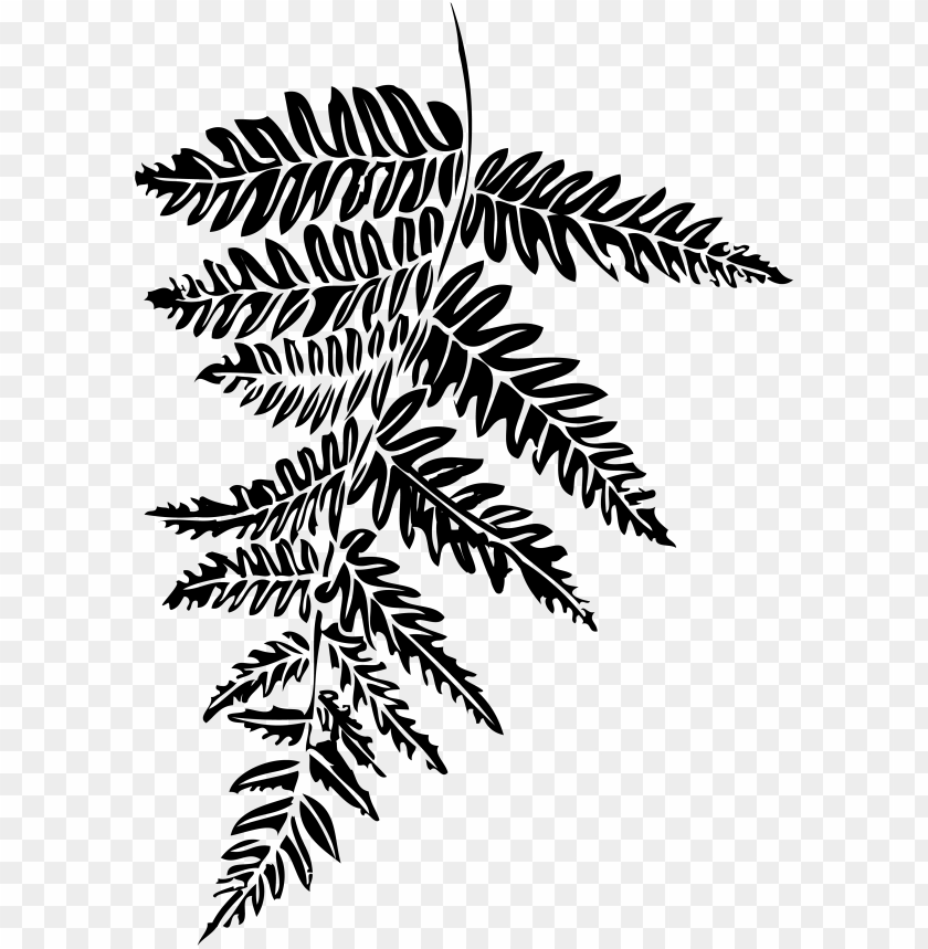 leaf, nature, plant, maori, symbol, zealand, flower