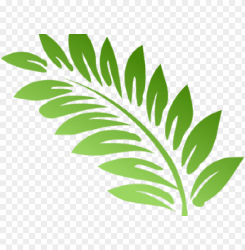 fern, foliage, leaf crown, green leaf, leaf clipart, pot leaf