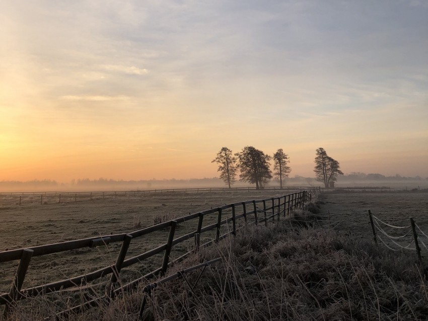 field, fog, sunrise, horizon, grass, fence, trees