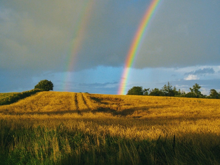 field, rainbow, landscape, sky, after rain