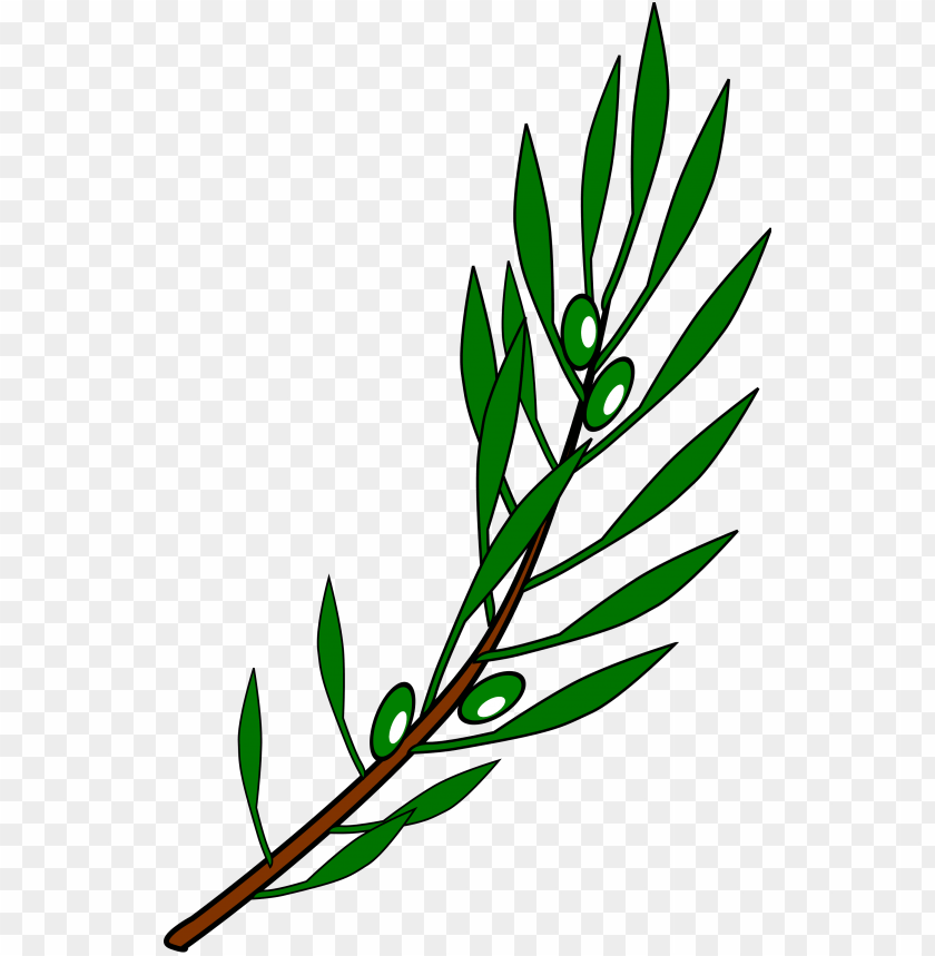 File Olive Branch PNG Image With Transparent Background@toppng.com