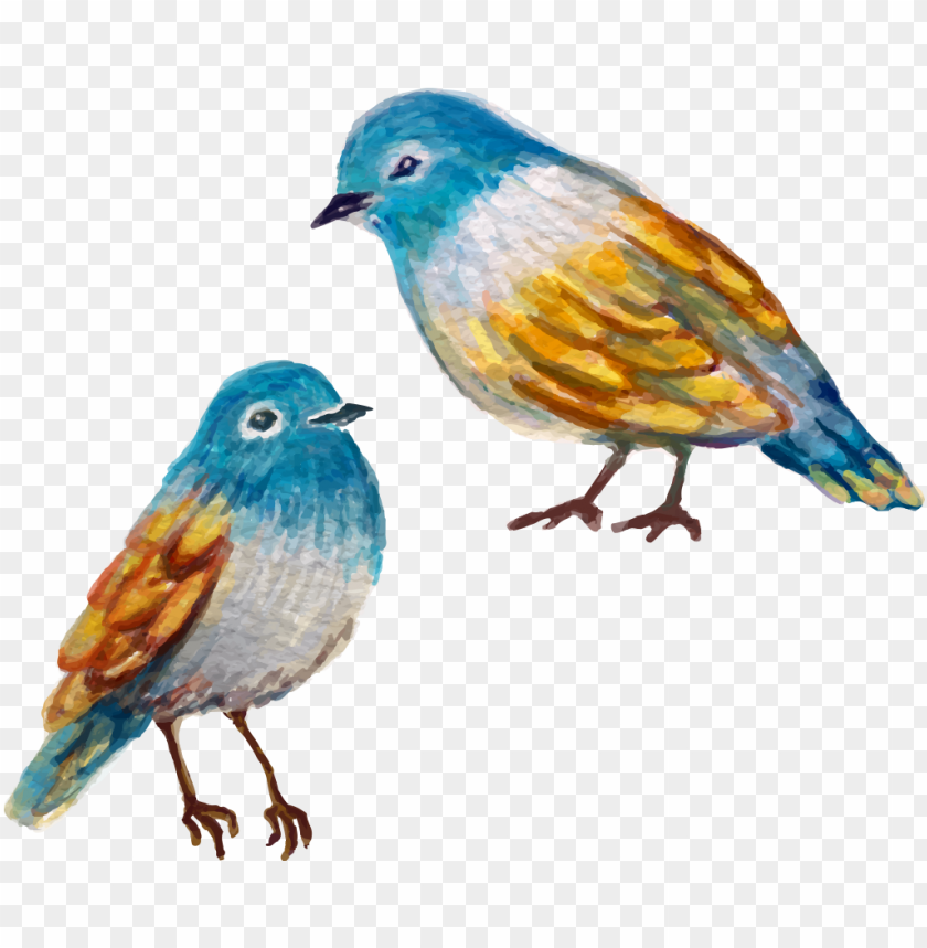 bird, pattern, colorful, design, birds, square, spray