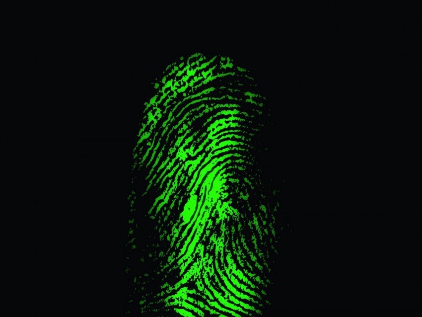 fingerprint, finger, scanner, green, trace