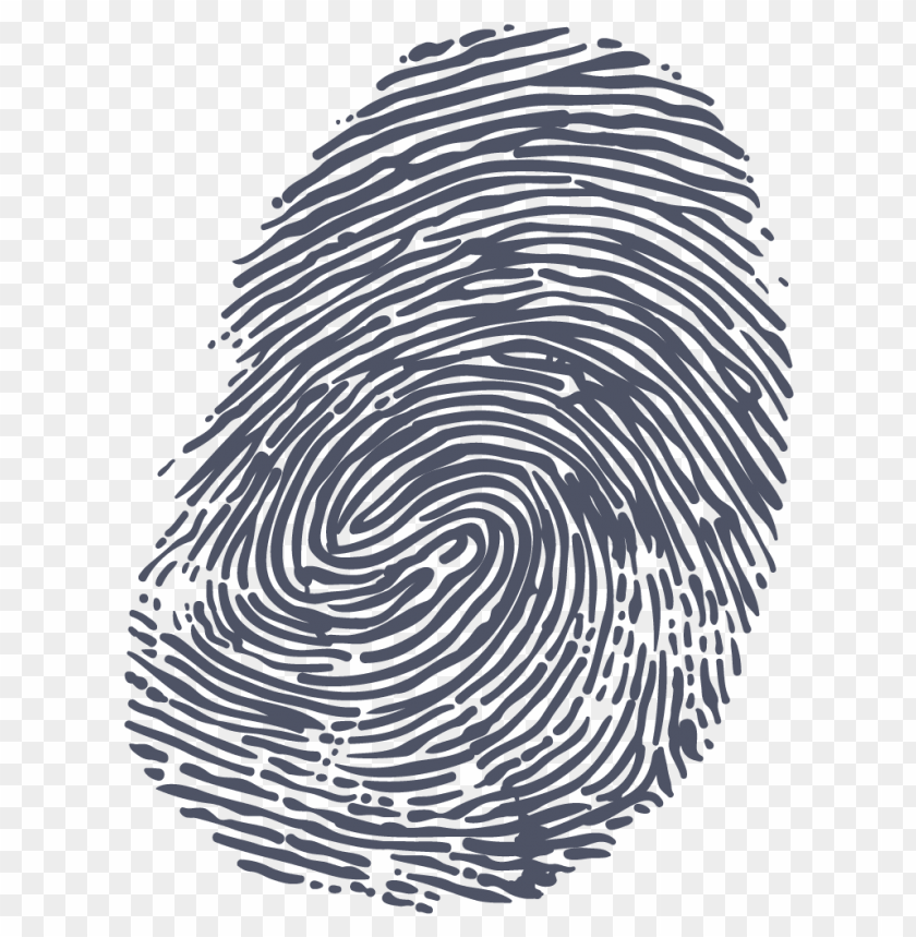 people, fingers, fingerprint grey, 