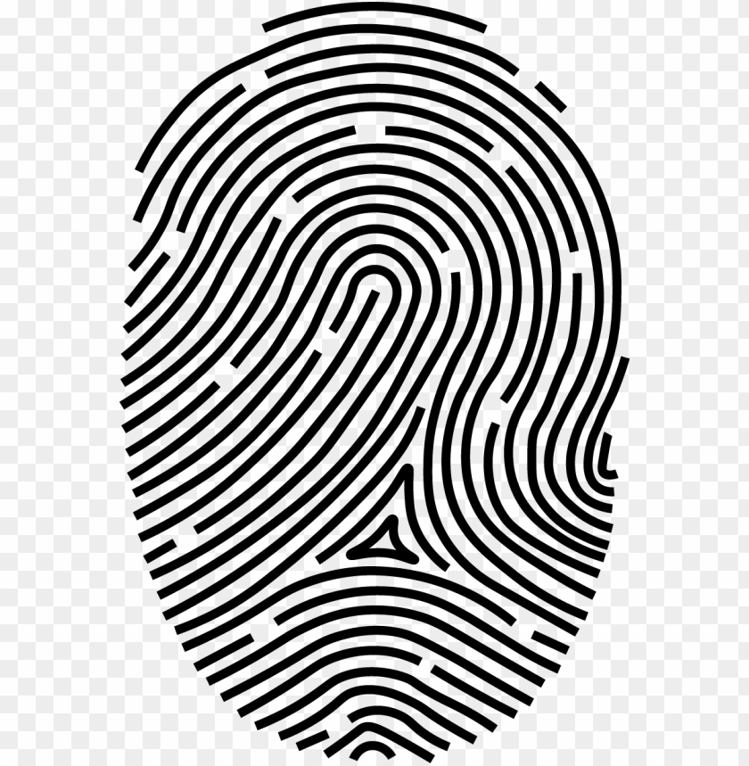 fingerprint png, fingerprint,png