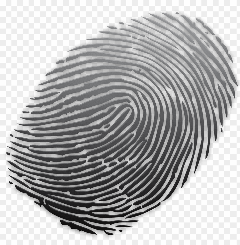fingerprint png PNG transparent with Clear Background ID 121880