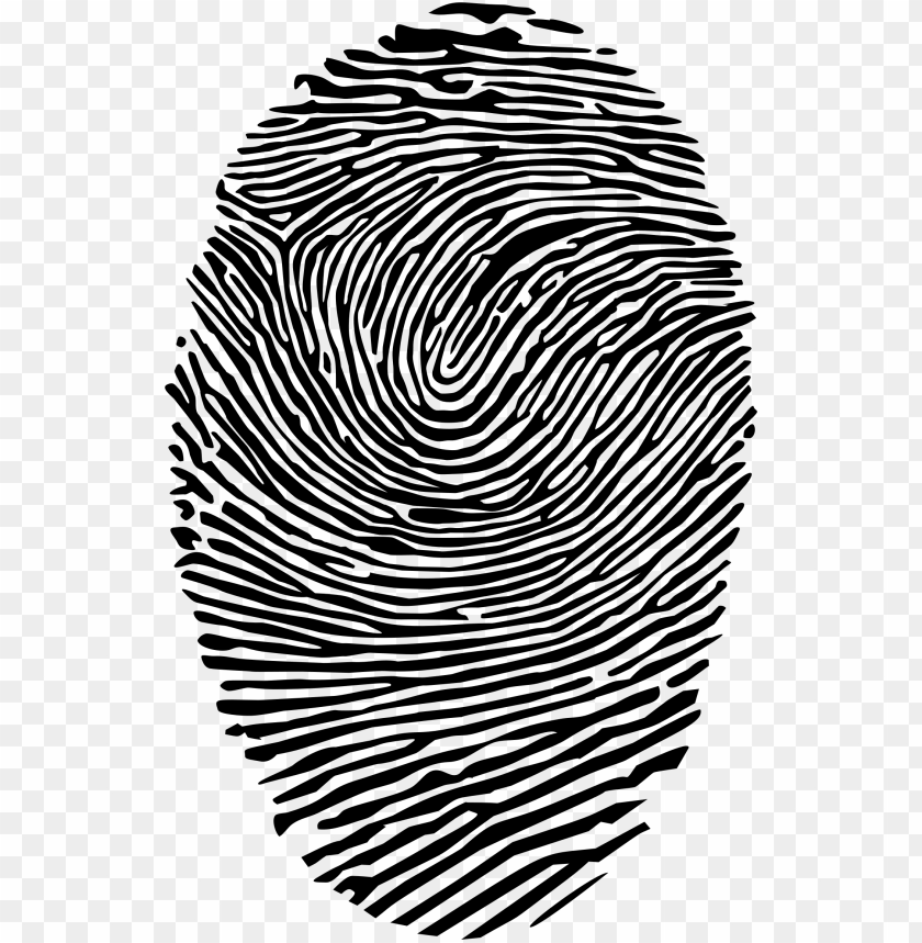 fingerprint png PNG transparent with Clear Background ID 121881