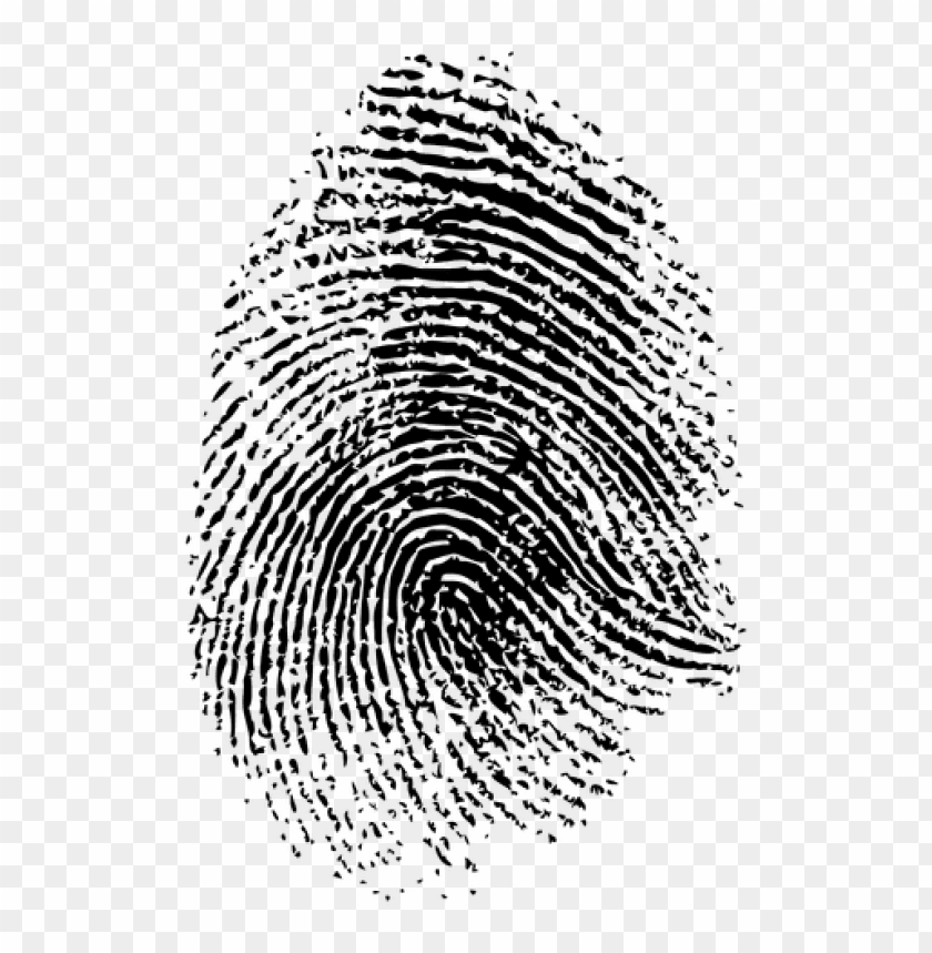 fingerprint png PNG transparent with Clear Background ID 122846