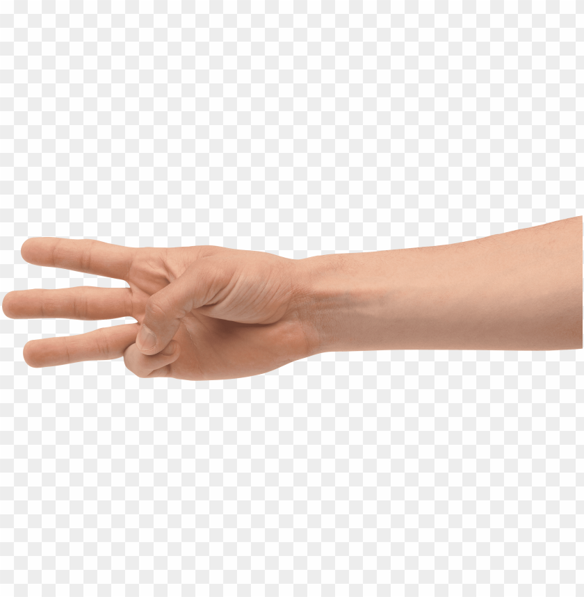 
limb
, 
human body
, 
fingers
, 
hands

