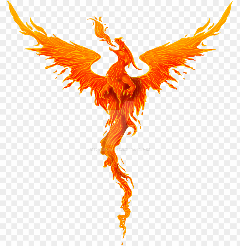 fire dragon decal roblox