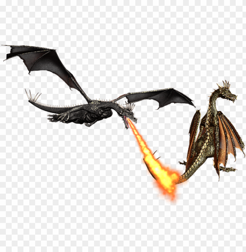 Fire Dragon Png Png Image With Transparent Background Toppng - fire dragon decal roblox