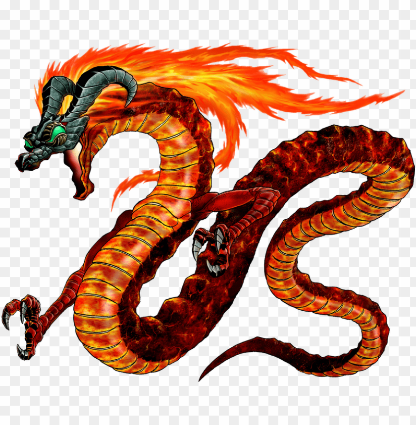 fire dragon png, dragon,firedragon,fire,png