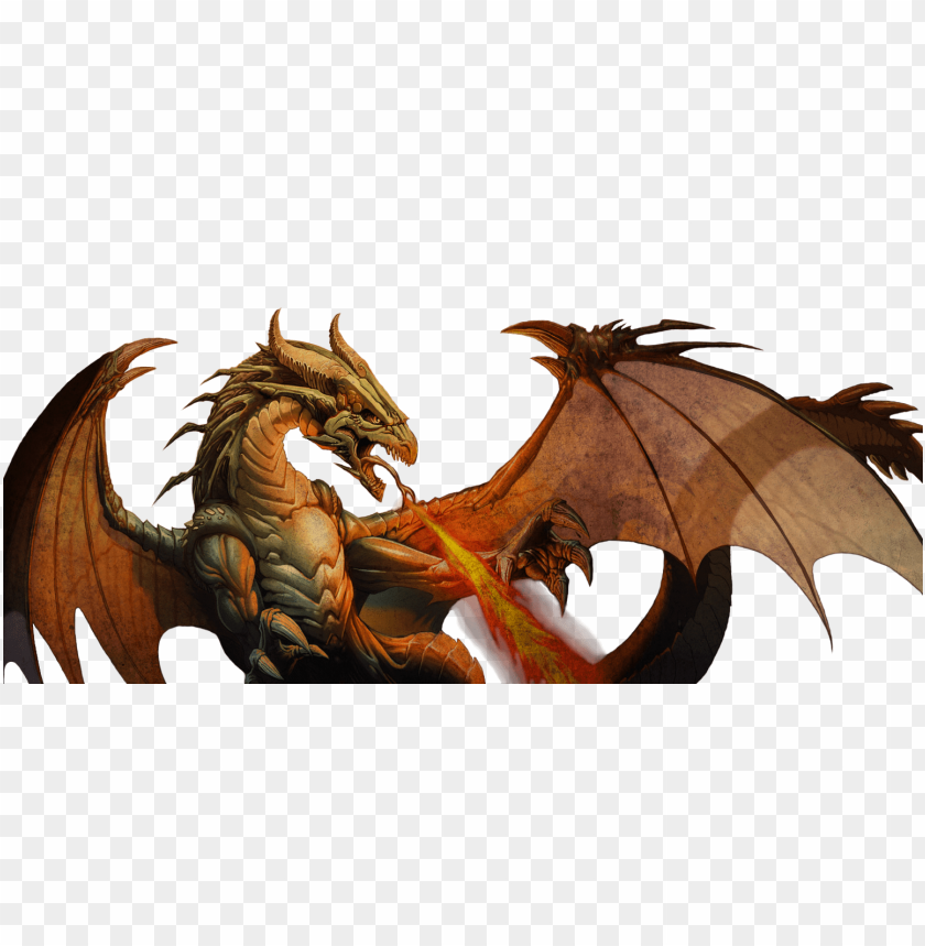 Fire Dragon Png PNG Image With Transparent Background