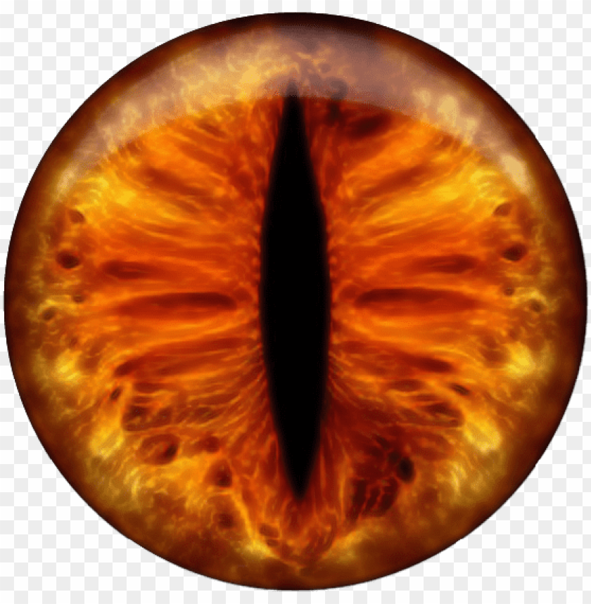 Download fire eyes png orange cat eye necklace png - Free PNG Images |  TOPpng
