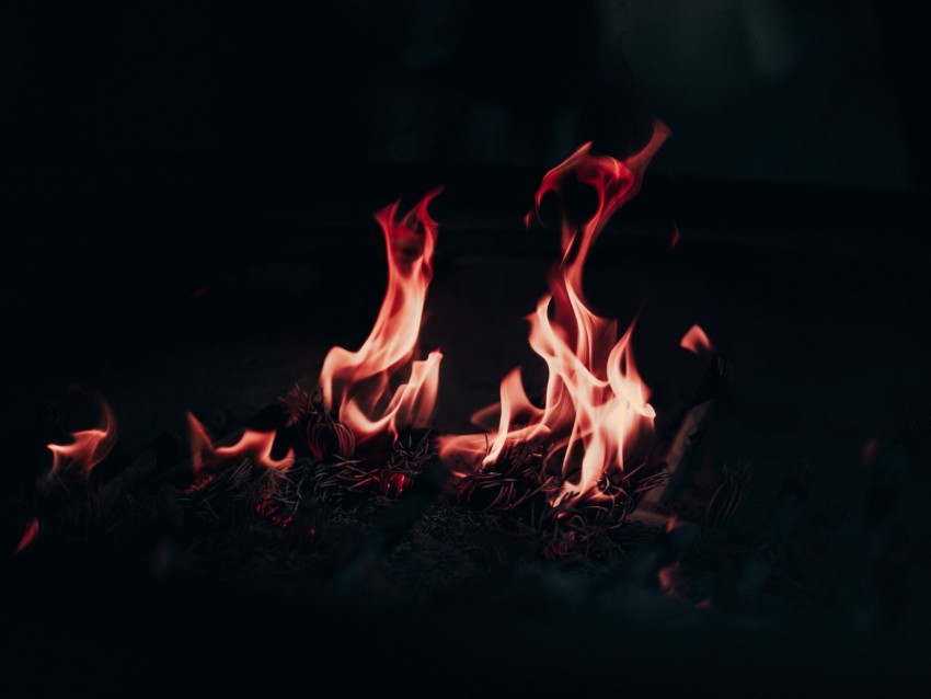 fire, flame, bonfire, burn, night