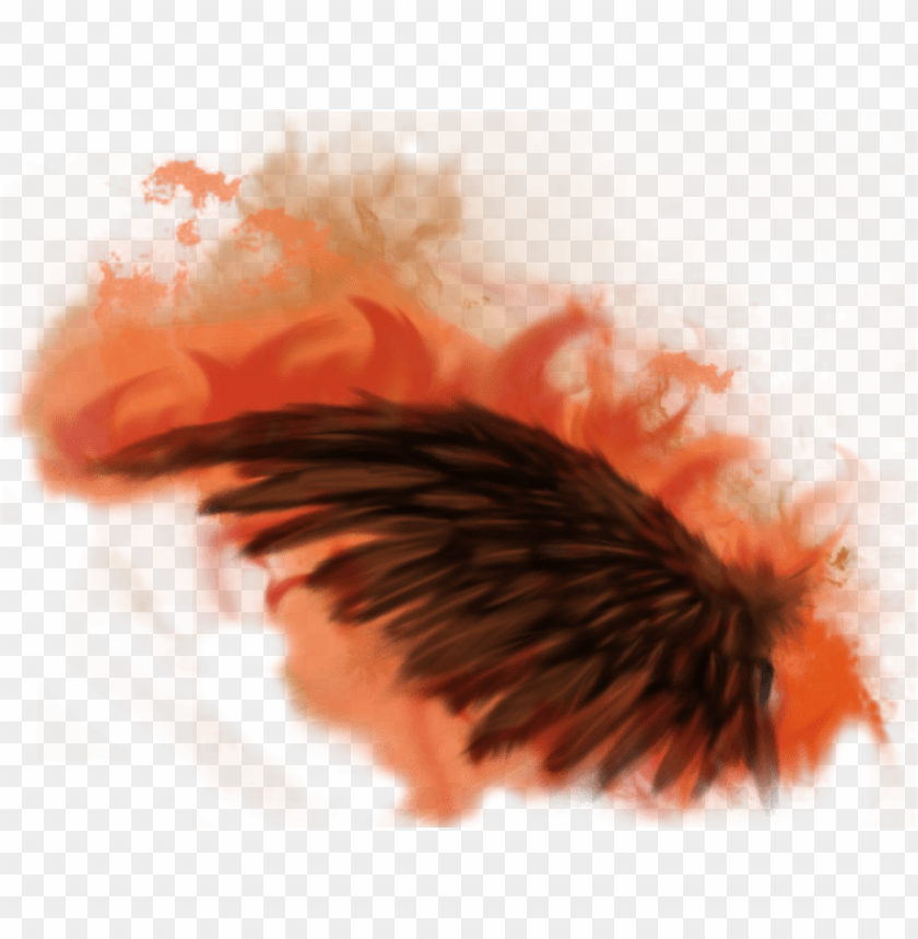 flame, background, wing, pattern, lion, illustration, heart with wings