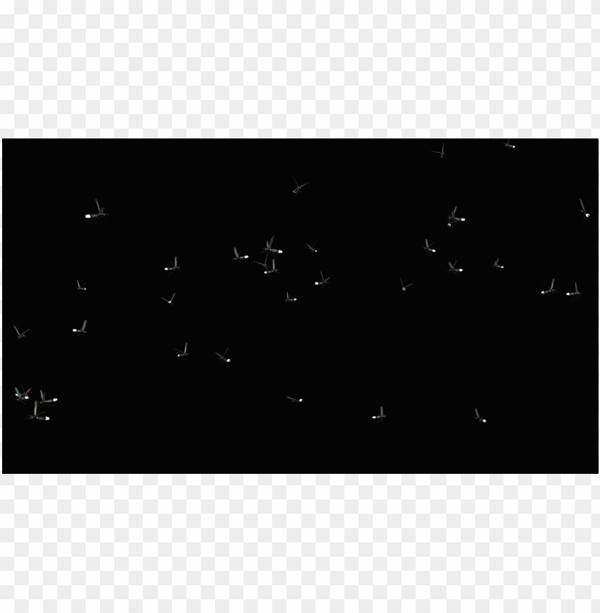 fireflies png image with transparent background toppng fireflies png image with transparent