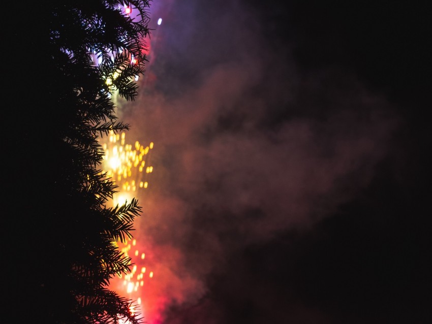 fireworks, salute, tree, dark, night