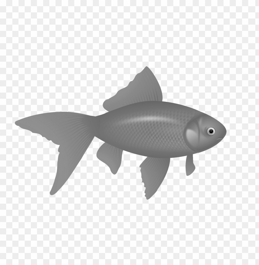 Fish Png Images Background - Image ID 2158