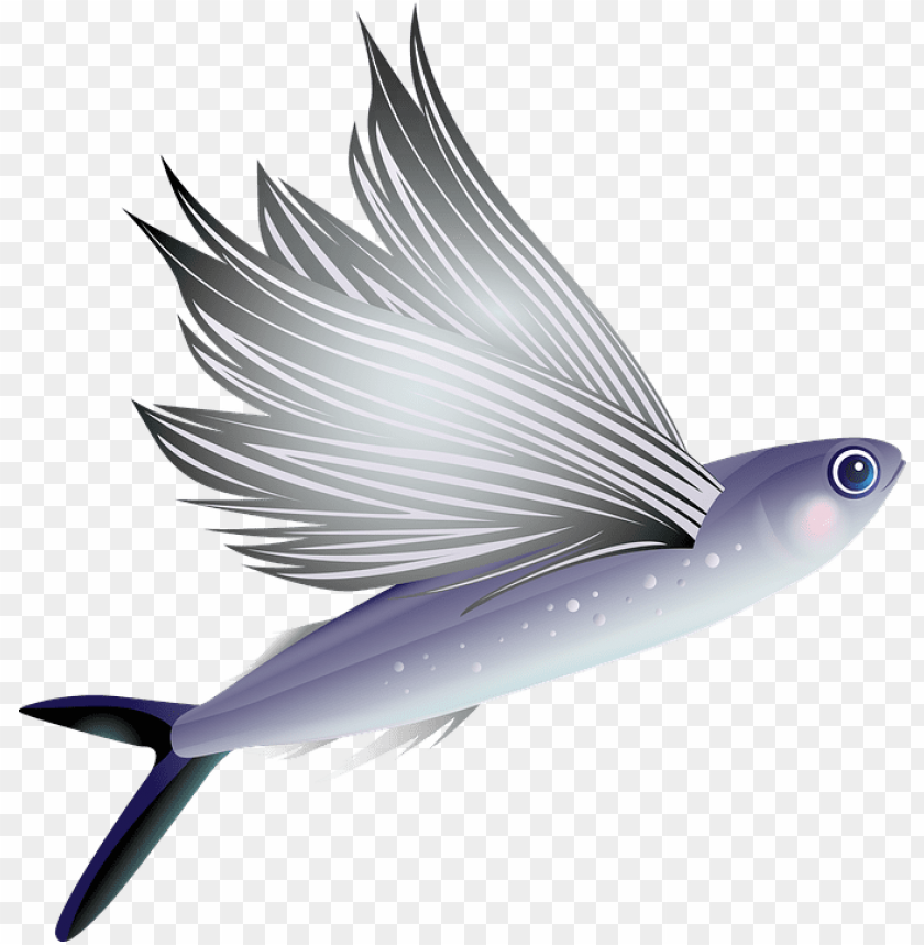 fish png images background - Image ID 37553