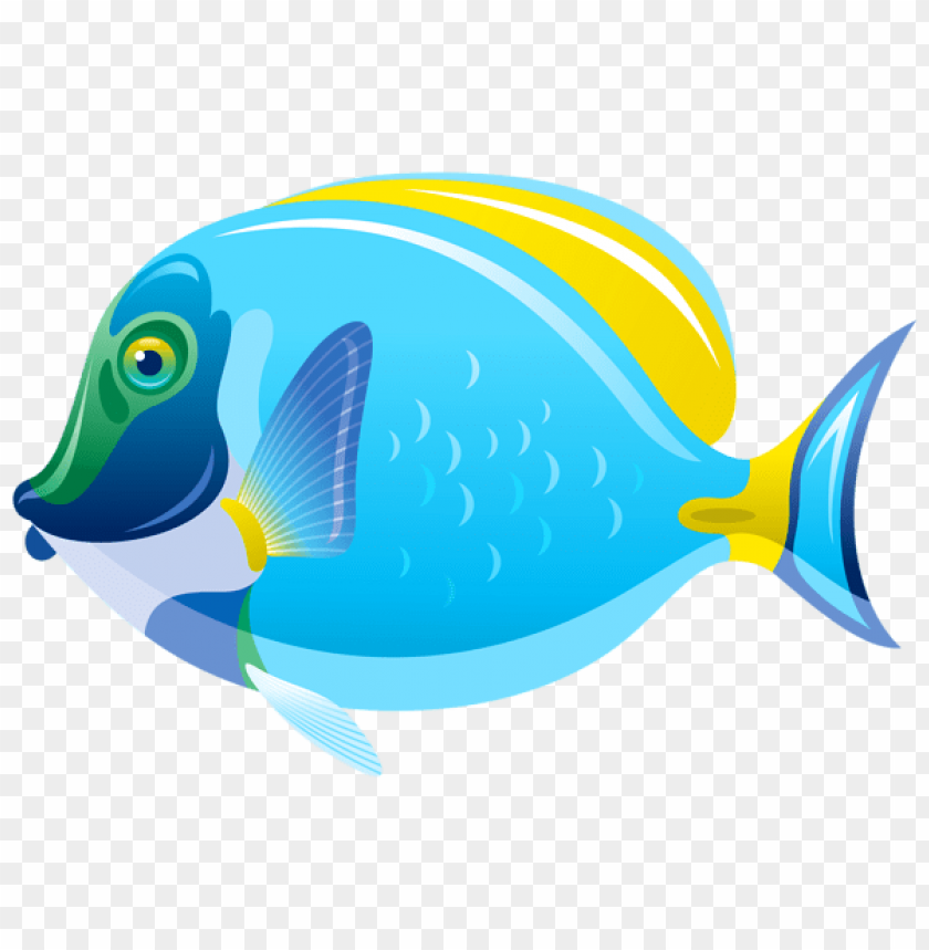 Download fish clipart png photo  @toppng.com