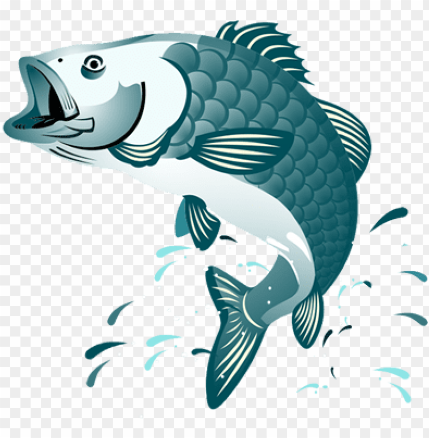 fish jumping clipart PNG image with transparent background | TOPpng