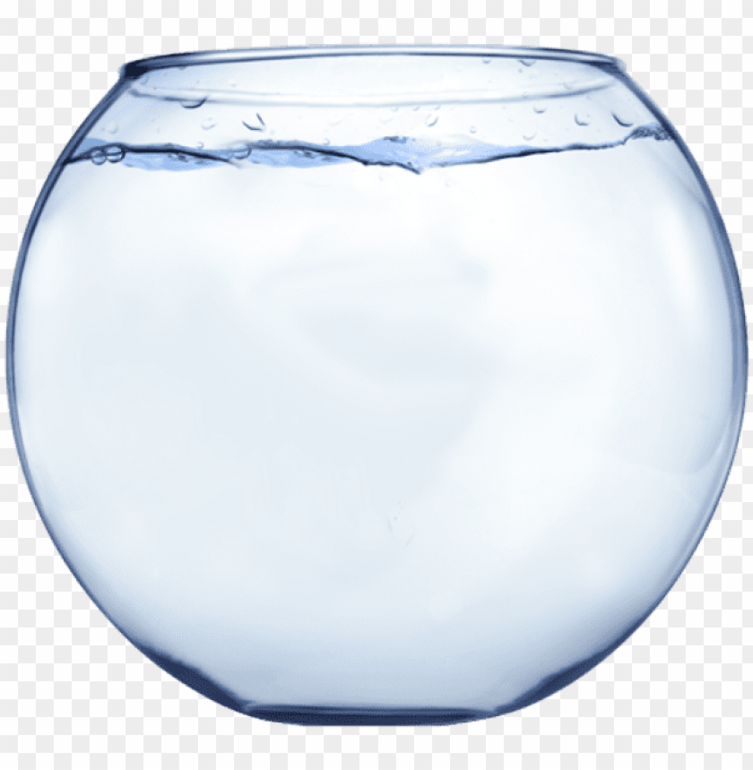 fish out of - glass fish bowl PNG image with transparent background@toppng.com