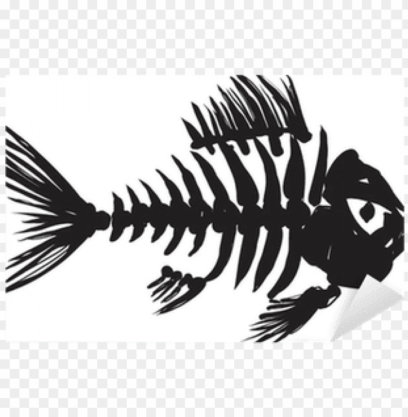 Download Fish Skeleton Designs Png Image With Transparent Background Toppng
