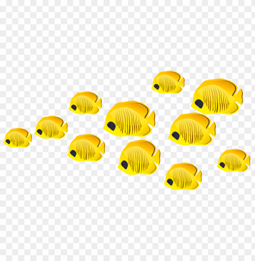 free PNG Download fishes clipart png photo   PNG images transparent