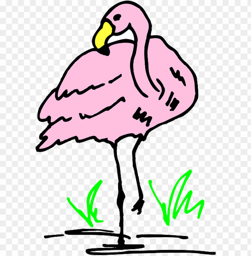 Kawaii Albert Flamingo Edits