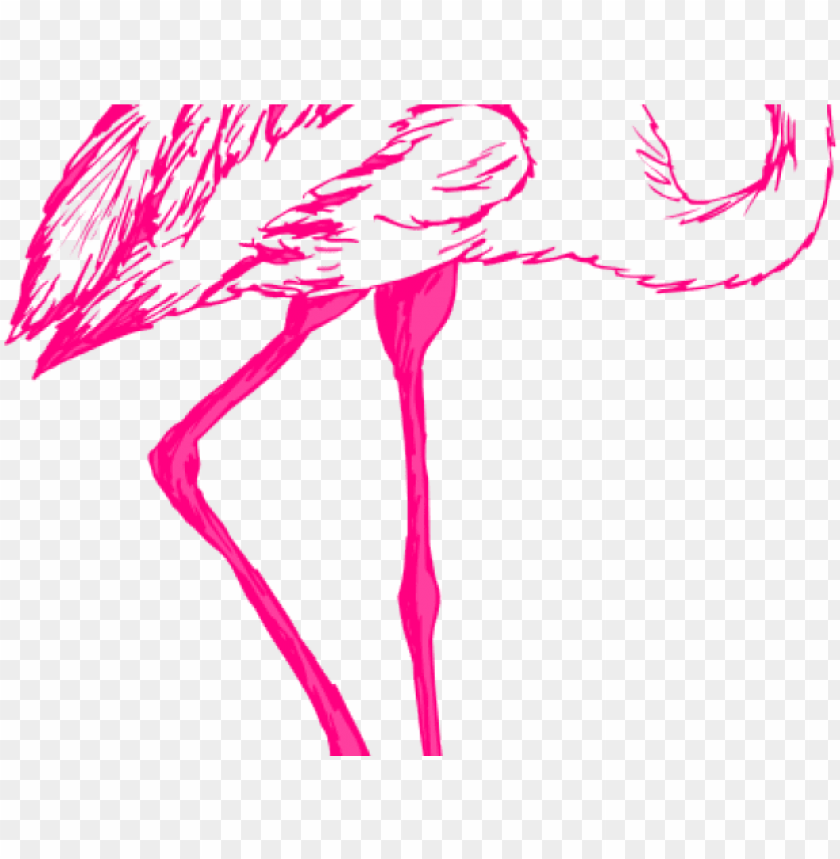 bird, flower, texture, eagle, background, flying bird, frame