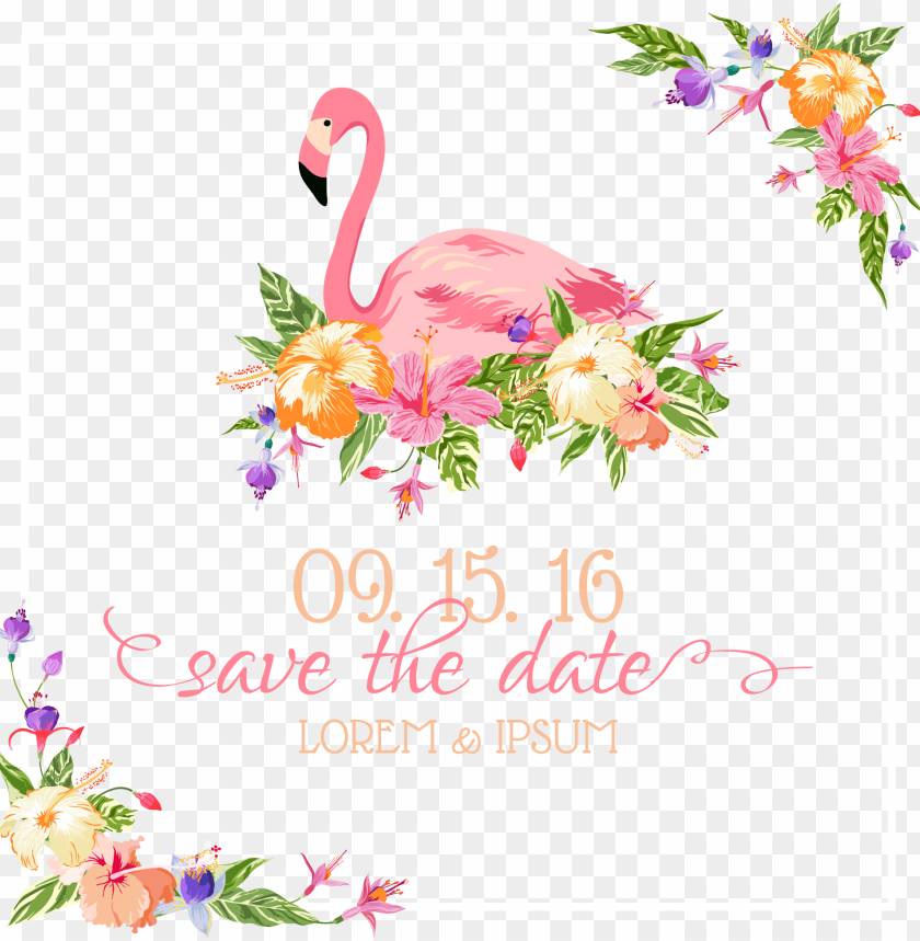 flamingo wedding invitation euclidean vector illustration - save the date  flamingo PNG image with transparent background | TOPpng