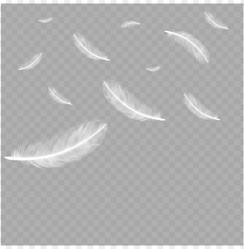 floating falling feather feather feathers feathers feather PNG transparent with Clear Background ID 173078