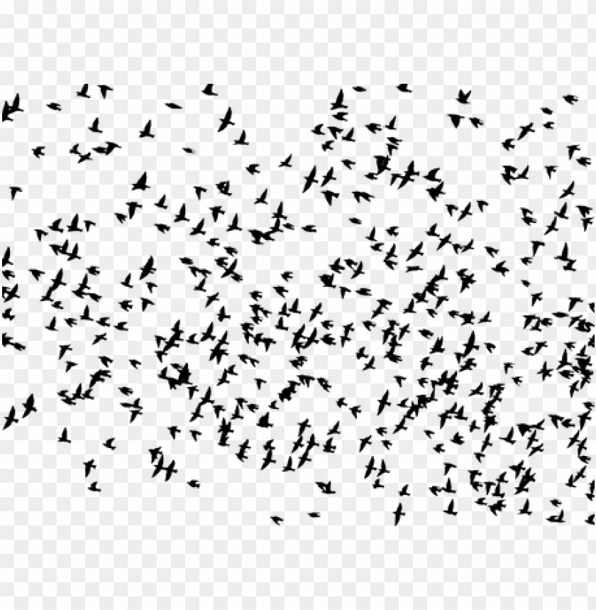 free PNG flock, birds, animals, flying - flock of birds flying silhouette PNG image with transparent background PNG images transparent