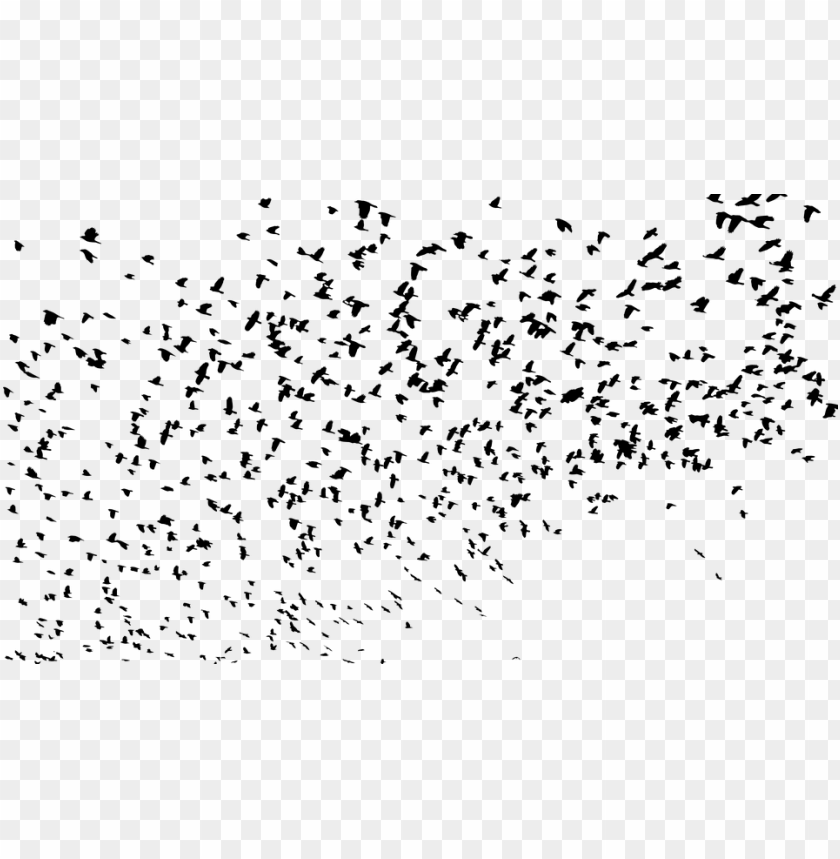flock, birds, animals, flying, silhouette, svg - flock of birds silhouette PNG image with transparent background@toppng.com