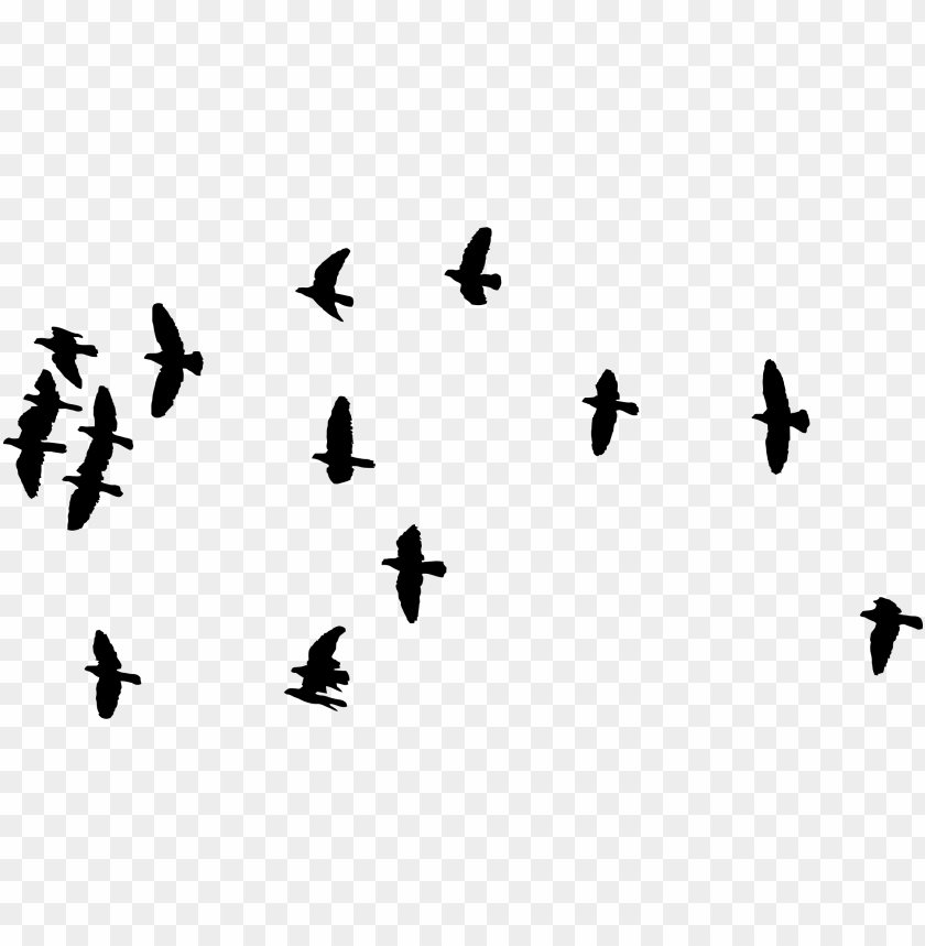 flock of birds silhouette PNG image with transparent background@toppng.com