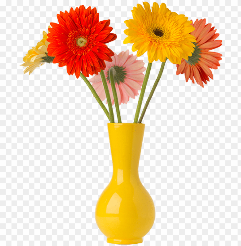 flower, home, wedding, planter, daisy, flower vase, tree