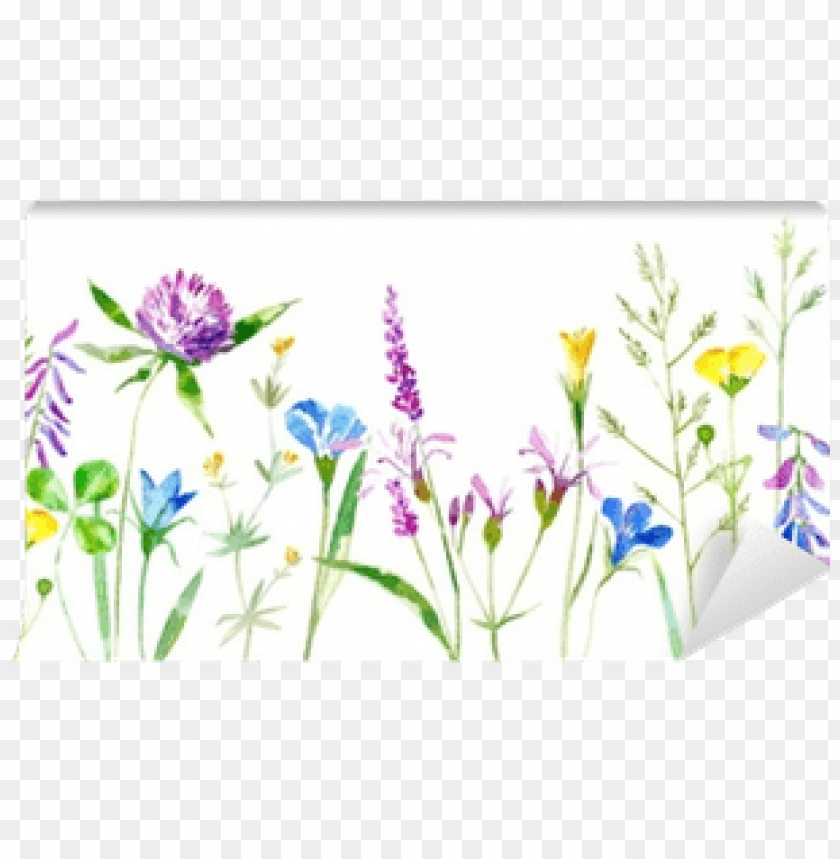 flower, flower frame, lawn, flower border, texture, sunflower, field