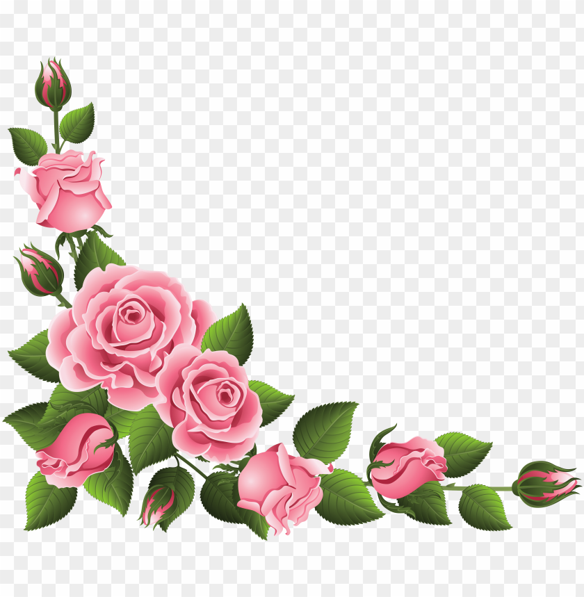 clipart rose border