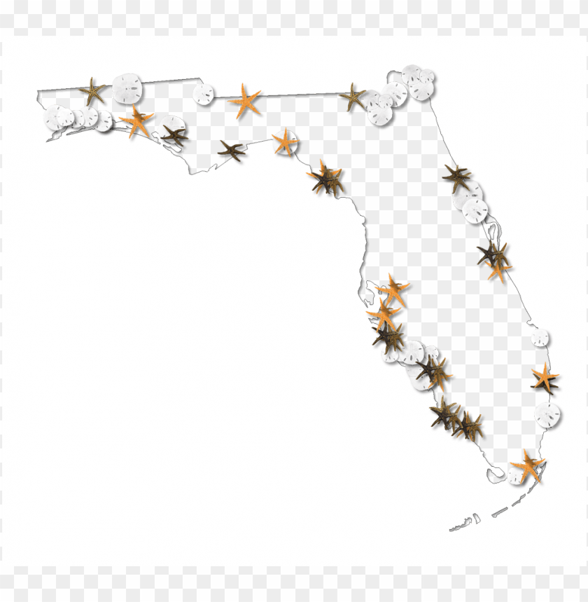 us map outline, world map outline, florida outline, person outline, rectangle outline, city outline