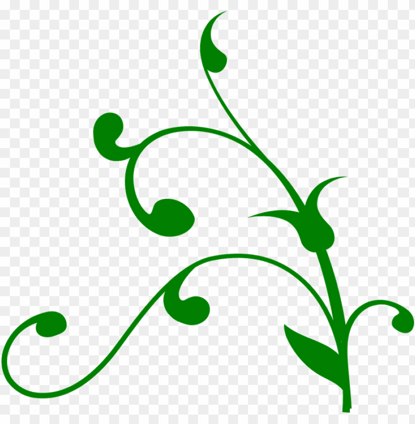 flourish vector clipart swirl design flourishes digital green vines clip art PNG transparent with Clear Background ID 182668