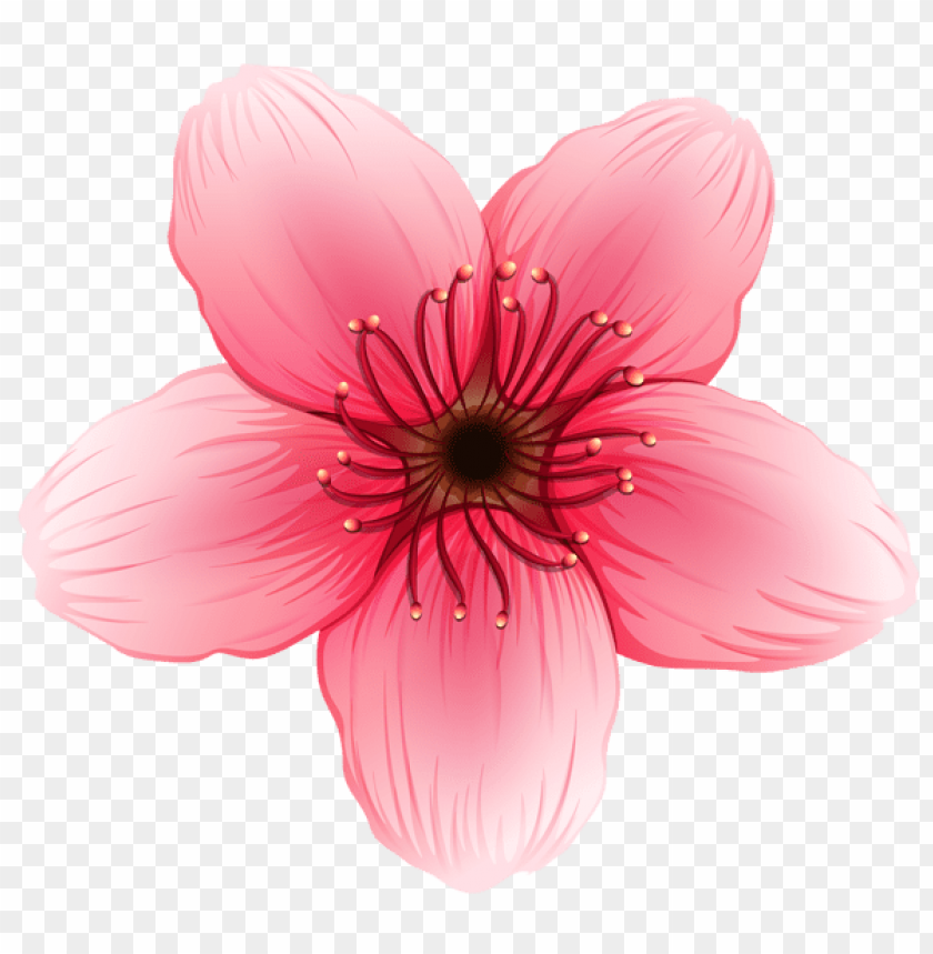 PNG image of flower with a clear background - Image ID 44075