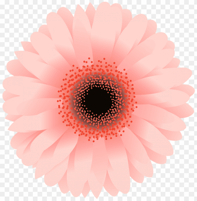 PNG image of flower with a clear background - Image ID 45378