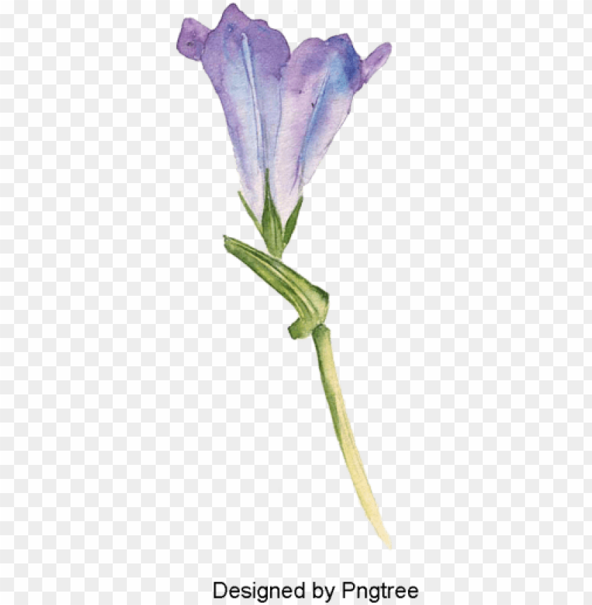 flower PNG transparent with Clear Background ID 77684