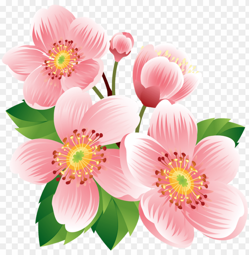 pink flower, sakura flower, flower plants, cherry blossom flower, flower design, flower crown