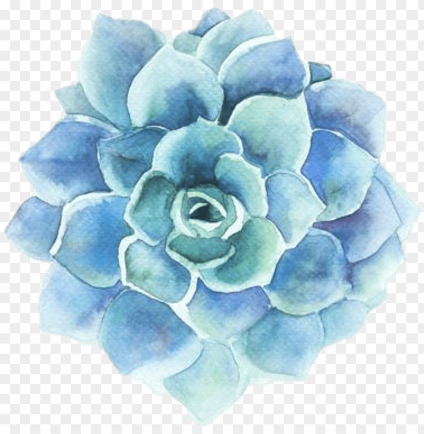 Flower Clipart Tumblr Blue Flower Watercolor Png Image With Transparent Background Toppng